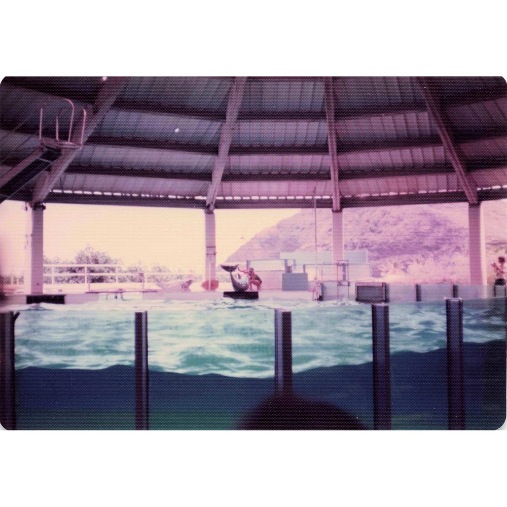 Vintage 1970s Sea Life Park Hawaii Dolphin Show Tall Ship Photo Lot of 17 - Picture 6 of 16